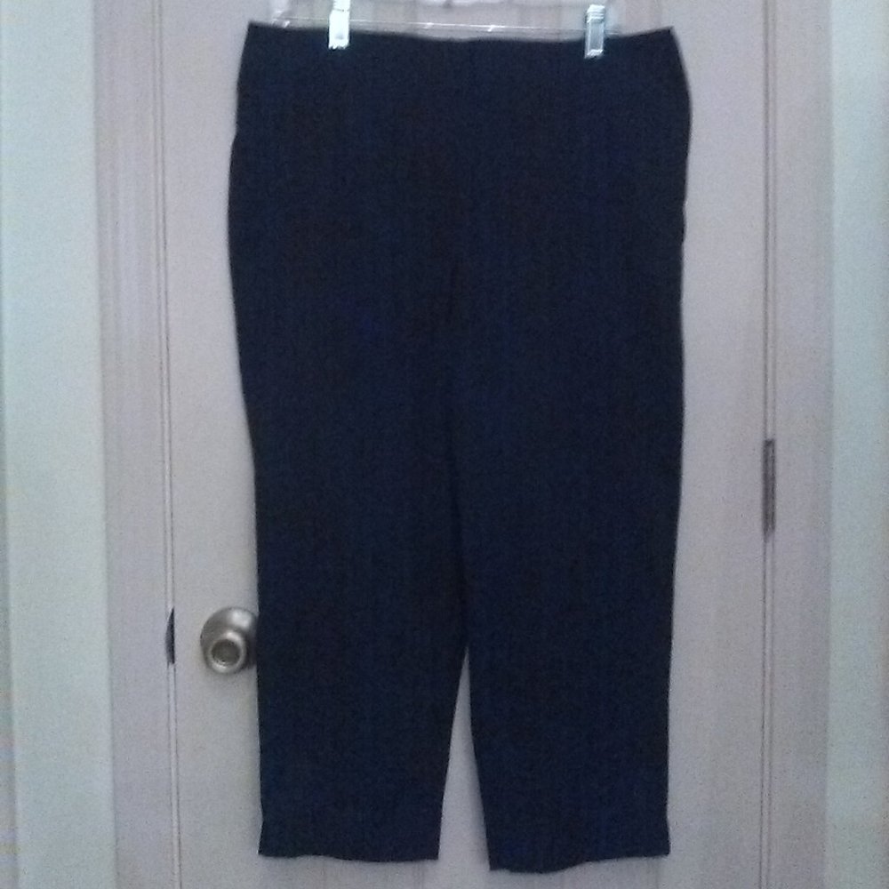 Talbots Petite Indigo Blue Crop Pants